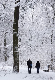 stock-photo-winter-forest-people-snow-walking-wood-couple-rear-view-walk-1ace30f8-73a3-49d2-89c3-2f44ea98eba8